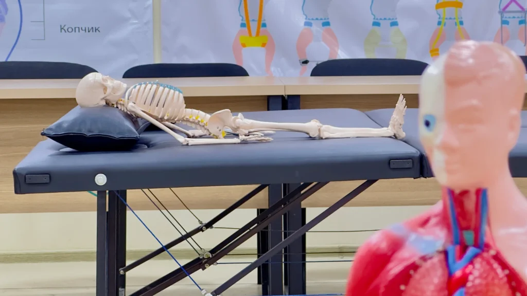 Amaliyot uchun ko'rgazma skileti va sun'iy odam manikeni.