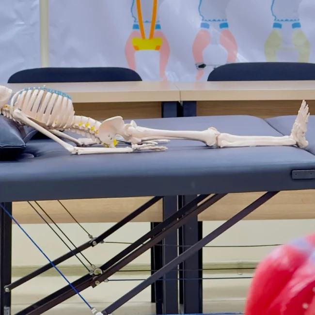 Amaliyot uchun ko'rgazma skileti va sun'iy odam manikeni.